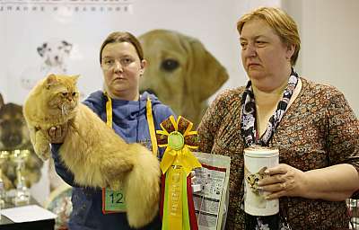    20-21  2014   2-269-169A1381 copy.jpg